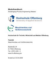 Modulhandbuch - an der Hochschule Offenburg