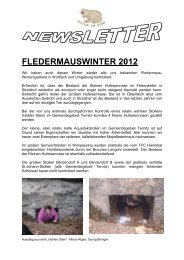 Fledermauswinter 2012 - RmDATA