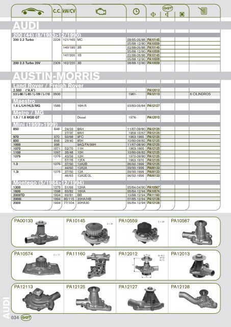 AUDI - GGT Pumps