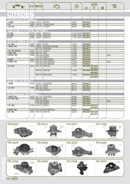 AUDI - GGT Pumps