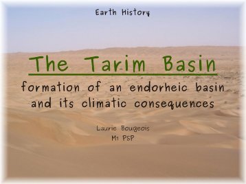 The Tarim Basin