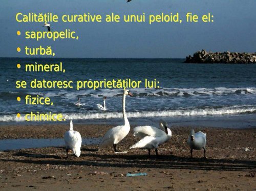 Factor natural terapeutic local (Mangalia Nord) – nămol de turbă