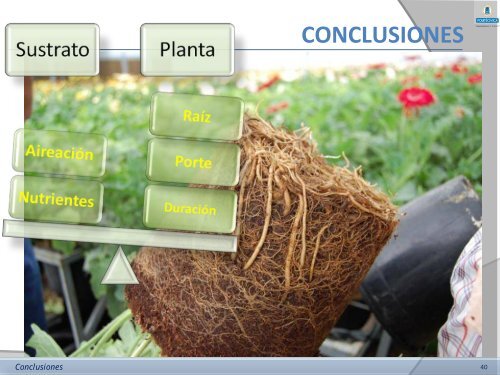 Sustrato de cultivo - Fundación Pons