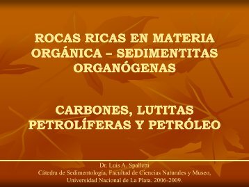 rocas ricas en materia orgánica orgánica - Museo de La Plata ...