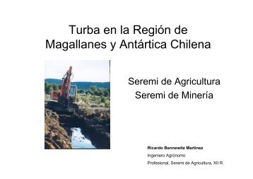 Turba en la Región de Magallanes y Antártica Chilena - Sernageomin