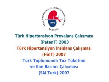 PatenT, HinT ve SalTurk Çalışmalarının Getirdikleri - Türk ...