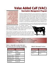 Feeder Cattle Story Agcm 3223