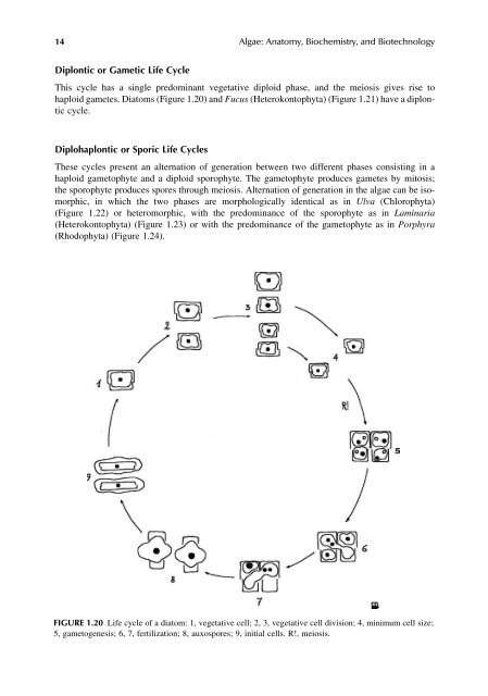 Algae Anatomy, Biochemistry, and Biotechnology