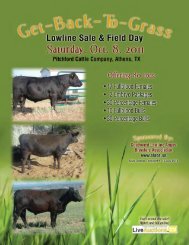 GBTG Cover 2011.indd - Cow Camp Promotions