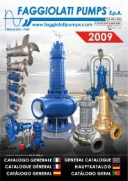 faggiolati-pumps-2009_new.pdf