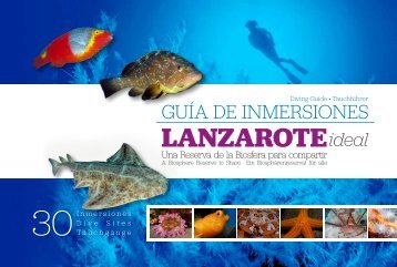 Guía de Inmersiones Lanzarote ideal