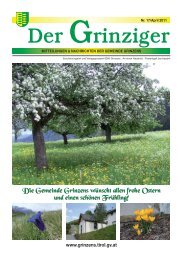 grinzner - Gemeinde Grinzens - Land Tirol