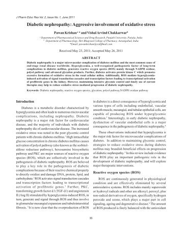 Diabetic nephropathy: Aggressive involvement of oxidative stress