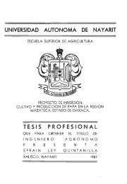 universidad autonoma de na y arit tesis profesional - Catalogo ...