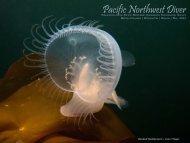 Pacific Northwest Diver - British Society of Underwater Photographers