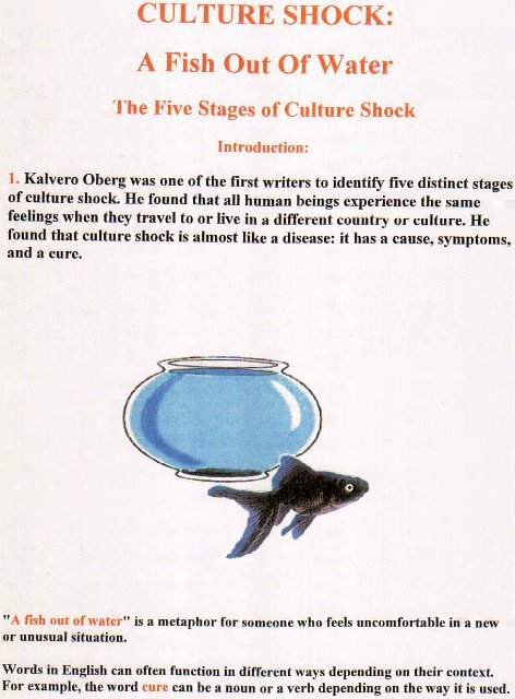 Culture Shock A Fish Out Of Water Thezource Com