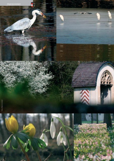 Der Bürgermeister informiert, Folge 2, April 2010, (10 - in Laxenburg