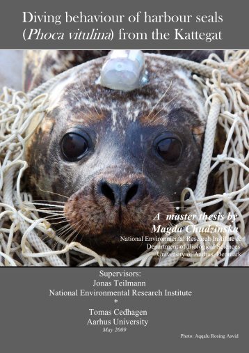 Diving behaviour of harbour seals (Phoca vitulina) from the Kattegat