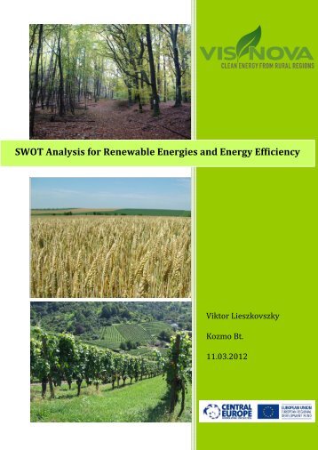 SWOT analysis of the South Transdanubian Area, Hungary