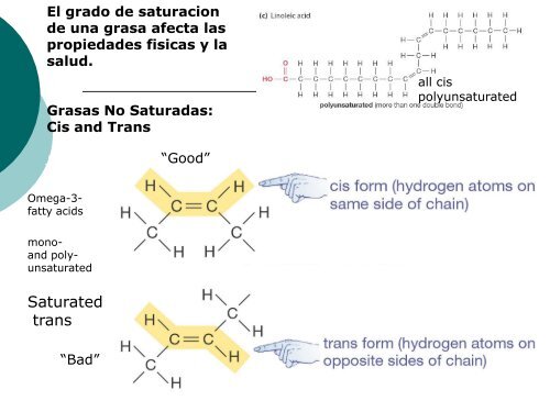 Moleculas Orgánicas