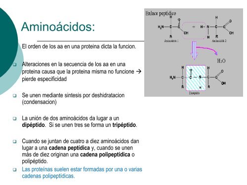 Moleculas Orgánicas