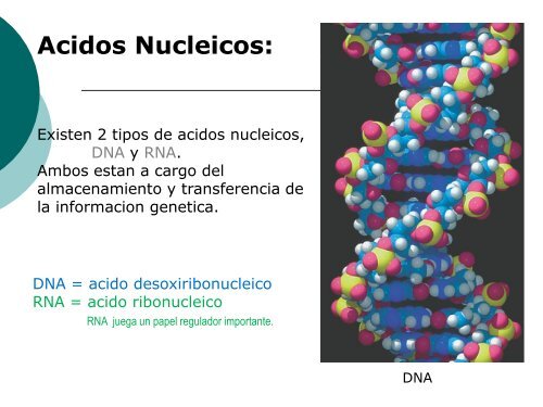 Moleculas Orgánicas