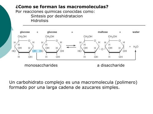 Moleculas Orgánicas