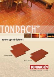 Naravni opečni tlakovec - Tondach