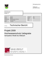 Technischer Bericht Uelisgraben - Adelboden