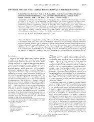 DNA-Based Molecular Wires: Multiple Emission ... - Optical Sciences