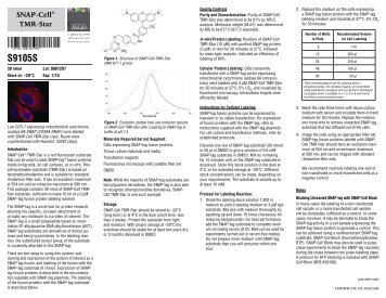 Datasheet for SNAP-Cell® TMR-Star (S9105; Lot 0081207)