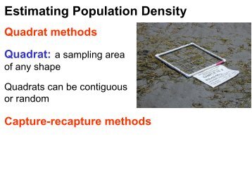 population ecology ii - Biology