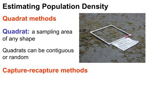 population ecology ii - Biology