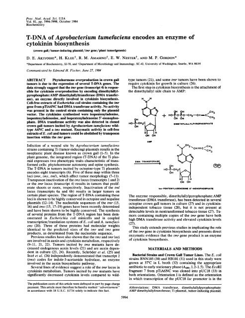 cytokinin biosynthesis