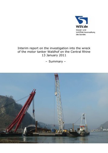 Interim report Investigation of the TMS Waldhof accident - Elwis