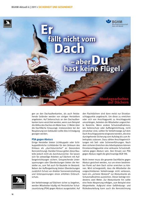 2011 06.pdf, Seiten 1-16 - BGHM