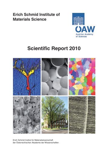 Scientific Report 2010 - Erich Schmid Institute