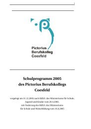 Schulprogramm 2005 - Pictorius Berufskolleg