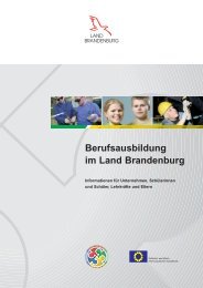 Berufsausbildung im Land Brandenburg - Ministerium für Arbeit ...