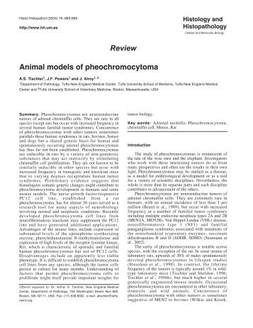 Review Animal models of pheochromocytoma - Histology and ...