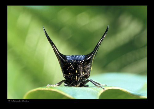 biodiversity