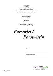 Forstwirt / Forstwirtin