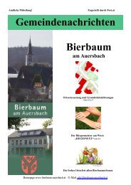 1. 2007 Gemeindezeitung - Gemeinde Bierbaum am Auersbach