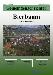 11.2008 Gemeindezeitung - Gemeinde Bierbaum am Auersbach