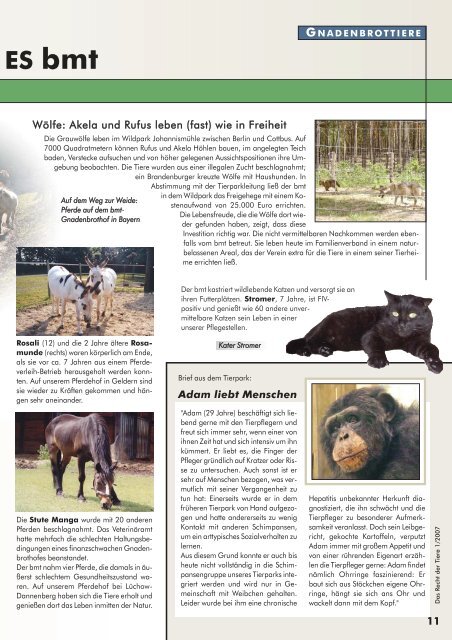 RDT 1/2007 - Bund gegen Missbrauch der Tiere ev