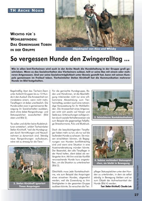 RDT 4/2009 - Bund gegen Missbrauch der Tiere ev