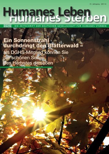 Ein Sonnenstrahl durchdringt den Blätterwald – - Deutsche ...