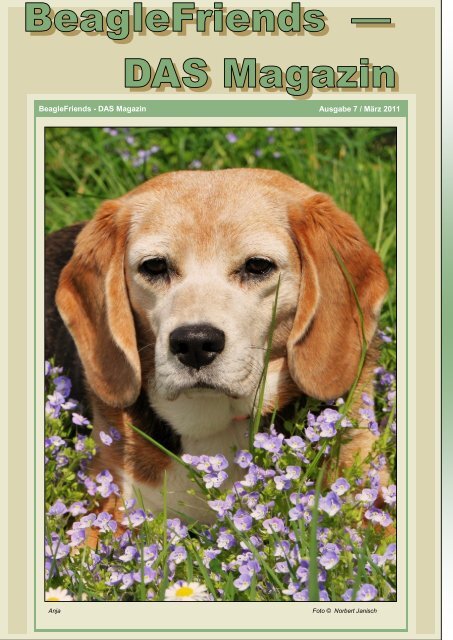 Ausgabe 7 / März 2011 BeagleFriends - DAS Magazin