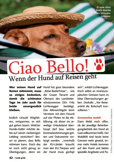 HundeGuide - Tierschutzombudsstelle Steiermark