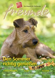 freunde-Magazin 2011-02 (PDF) - Zoo & Co. Siegen